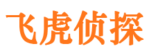 平山市侦探调查公司